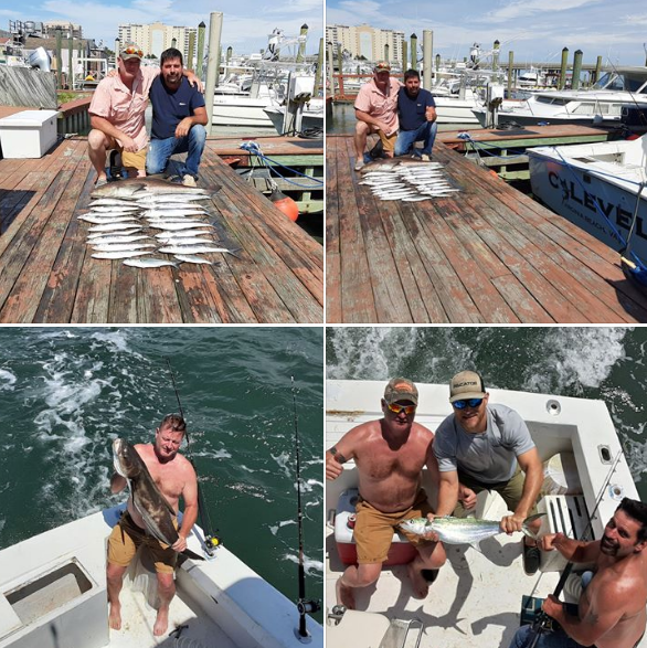 C-level_Sportfishing_Charters_-_Home_-_2020-06-14_07.57.06.png