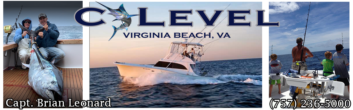 Fishing Videos - Offshore Fishing Charters Virginia Beach