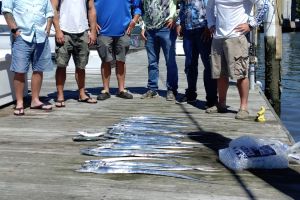 299730074 2412552505563964 n