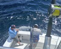 299777379 2412555712230310 n