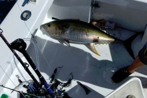 299985426 2412549075564307 n