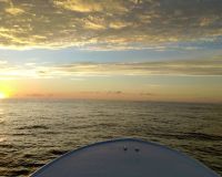 300010524 2412555848896963 n