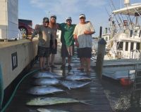 514193099 1218363903415719 n