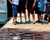 514513959 1218364316749011 n