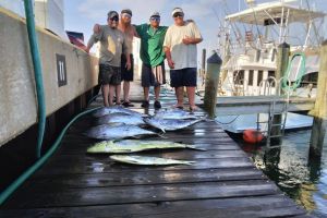 514662064 1218364126749030 n