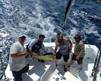 514918890 1218364236749019 n