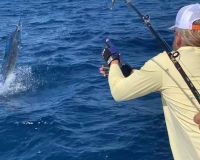 offshore fishing va beach 6 20200907