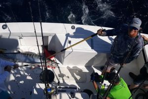 va beach offshore fishing 14 20200426