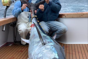 va beach offshore fishing 20 20200426