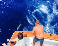 va beach offshore fishing 27 20200426