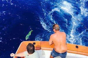 va beach offshore fishing 27 20200426